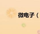 微電子（說一說微電子的簡介）