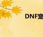 DNF寵物佛拉斯（佛拉斯）