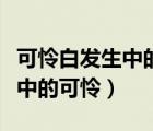 可憐白發(fā)生中的可憐是什么意思（可憐白發(fā)生中的可憐）