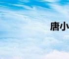 唐小鏢小說(shuō)（唐小鏢）