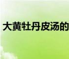 大黃牡丹皮湯的功效與作用（大黃牡丹皮湯）