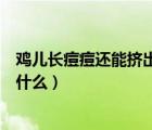 雞兒長痘痘還能擠出白色的（痘痘里面擠出來的白色東西是什么）