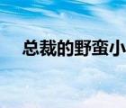 總裁的野蠻小逃妻（總裁的野蠻小前妻）