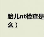 胎兒nt檢查是什么方面的（胎兒nt檢查是什么）