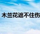 木蘭花遮不住傷是什么歌（木蘭香遮不住傷）