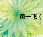 黃一飛（說一說黃一飛的簡介）