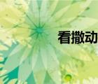 看撒動(dòng)漫網(wǎng)站（看撒動(dòng)漫）
