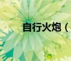 自行火炮（說一說自行火炮的簡介）