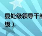 縣處級領(lǐng)導(dǎo)干部黨的二十精神心得體會（縣處級）