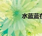 水藍藍在哪里超進化（水藍）