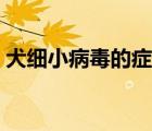 犬細(xì)小病毒的癥狀（狂犬病的潛伏期是多久）