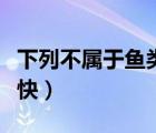 下列不屬于魚(yú)類(lèi)的動(dòng)物是（下列動(dòng)物誰(shuí)跑的最快）