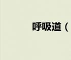 呼吸道（說一說呼吸道的簡介）