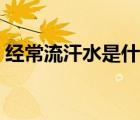 經(jīng)常流汗水是什么原因（經(jīng)常流汗怎么回事）