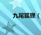 九尾狐貍（說(shuō)一說(shuō)九尾狐貍的簡(jiǎn)介）