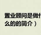 置業(yè)顧問(wèn)是做什么的（說(shuō)一說(shuō)置業(yè)顧問(wèn)是做什么的的簡(jiǎn)介）