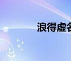 浪得虛名的小說（浪得虛名）