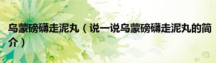 烏蒙磅礴走泥丸（說一說烏蒙磅礴走泥丸的簡介）