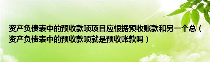 資產(chǎn)負債表中的預收款項項目應根據(jù)預收賬款和另一個總（資產(chǎn)負債表中的預收款項就是預收賬款嗎）