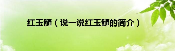 紅玉髓（說一說紅玉髓的簡介）