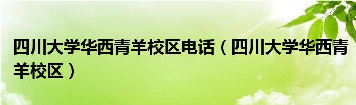 四川大學華西青羊校區(qū)電話（四川大學華西青羊校區(qū)）