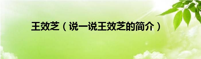 王效芝（說(shuō)一說(shuō)王效芝的簡(jiǎn)介）