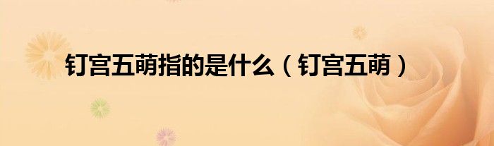 釘宮五萌指的是什么（釘宮五萌）