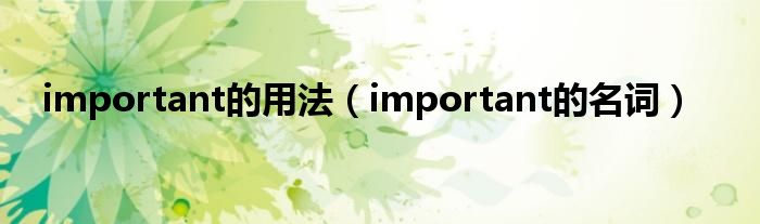 important的用法（important的名詞）