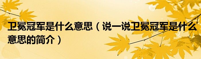 衛(wèi)冕冠軍是什么意思（說一說衛(wèi)冕冠軍是什么意思的簡介）