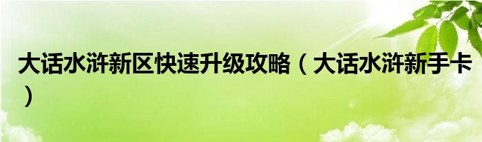 大話水滸新區(qū)快速升級攻略（大話水滸新手卡）