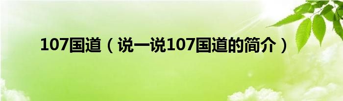 107國(guó)道（說一說107國(guó)道的簡(jiǎn)介）