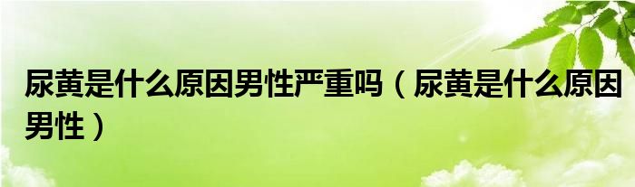 尿黃是什么原因男性嚴(yán)重嗎（尿黃是什么原因男性）