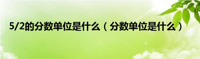 5/2的分?jǐn)?shù)單位是什么（分?jǐn)?shù)單位是什么）