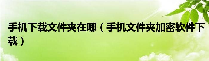 手機(jī)下載文件夾在哪（手機(jī)文件夾加密軟件下載）