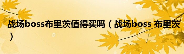 戰(zhàn)場boss布里茨值得買嗎（戰(zhàn)場boss 布里茨）