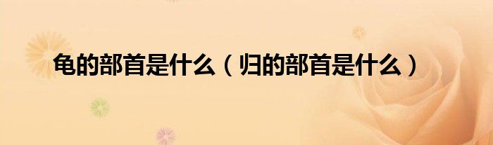 龜?shù)牟渴资鞘裁矗w的部首是什么）