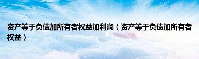 資產(chǎn)等于負債加所有者權(quán)益加利潤（資產(chǎn)等于負債加所有者權(quán)益）