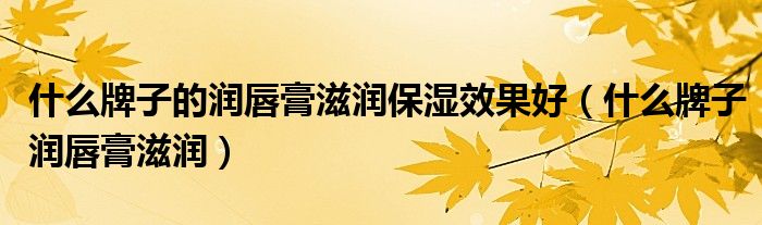 什么牌子的潤唇膏滋潤保濕效果好（什么牌子潤唇膏滋潤）