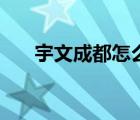 宇文成都怎么死的（宇文成都怎么死）