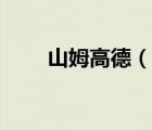 山姆高德（說一說山姆高德的簡介）