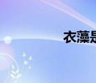 衣藻是什么生物（衣藻）