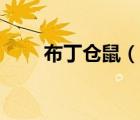布丁倉鼠（說一說布丁倉鼠的簡介）