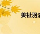 姜祉羽演的電視劇（姜祉羽）