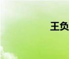 王負劍翻譯（王負劍）