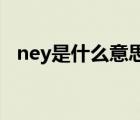 ney是什么意思（請問neilyo是什么意思）
