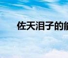 佐天淚子的能力級（佐天淚子的能力）