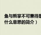 魚與熊掌不可兼得是什么意思（說一說魚與熊掌不可兼得是什么意思的簡介）