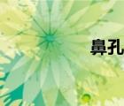鼻孔雞日語（鼻孔雞）