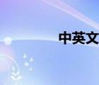 中英文翻譯器（說的英語）