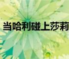 當(dāng)哈利碰上莎莉豆瓣影評（當(dāng)哈利碰上莎莉）